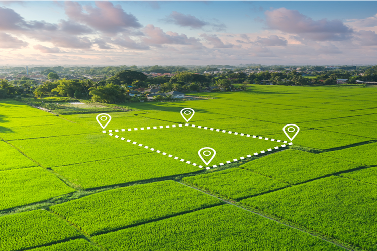 Perth Land Valuations: How They Impact Property Decisions? Perth Land Valuations: How They Impact Property Decisions?